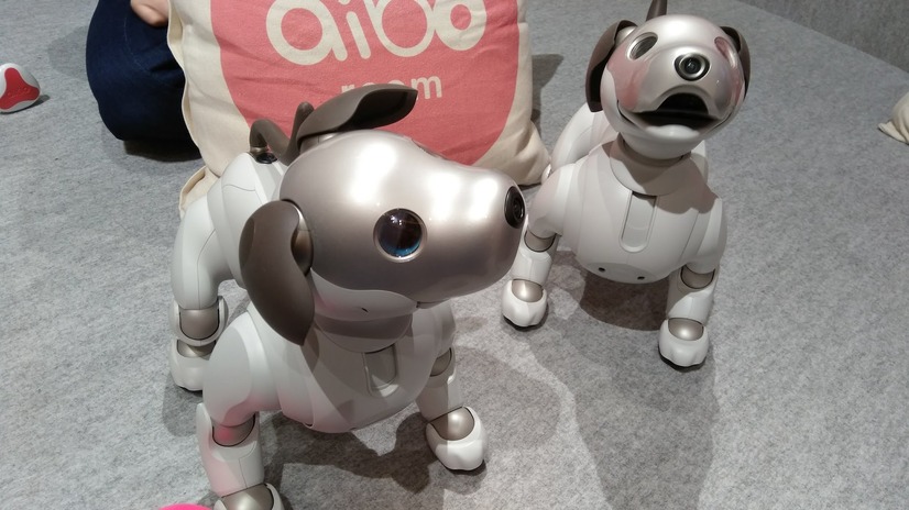 「ロボットペットはアリなのか？」たしかに犬っぽいAIBOに感心