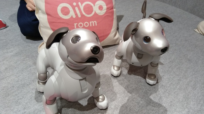 「ロボットペットはアリなのか？」たしかに犬っぽいAIBOに感心