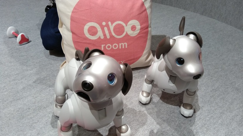 「ロボットペットはアリなのか？」たしかに犬っぽいAIBOに感心