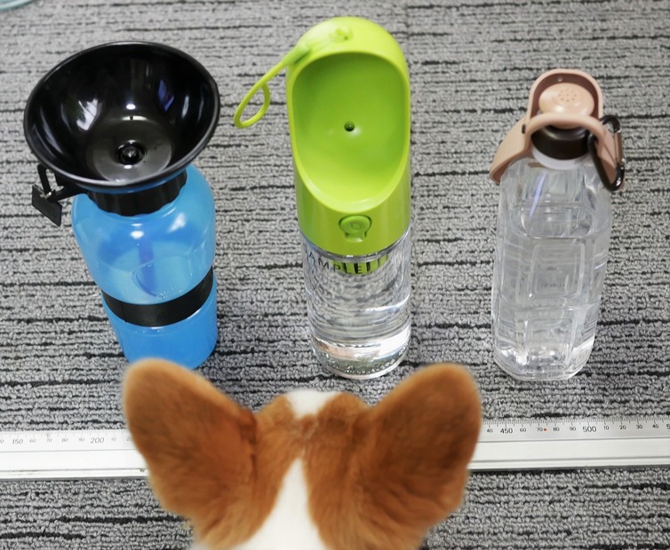 【ワンコとお出かけ Vol.5】いよいよお出かけシーズン到来！で～、水飲みグッズをチェック！