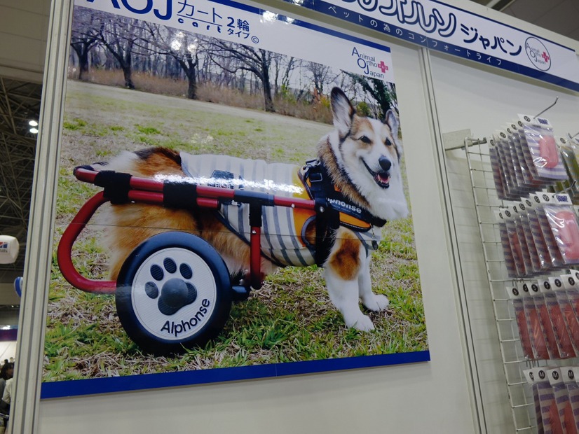 【Interpets（インターペット） 2018】アニマルオルソジャパン、犬用車いす「AOJカート」をアピール