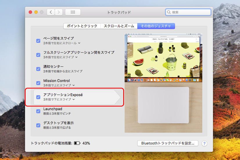 「3本指で下にスワイプ」が機能しないときは、「システム環境設定」→「トラックパッド」→「その他のジェスチャ」で、「アプリケーションExpose」にチェックがされ、オプションが「3本指で下にスワイプ」になっているかを確認しよう