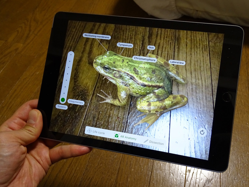 ARアプリがサクサクと楽しめる新しいiPad。カエルの解剖が学べる真面目な文教系ARアプリ「Froggipedia」