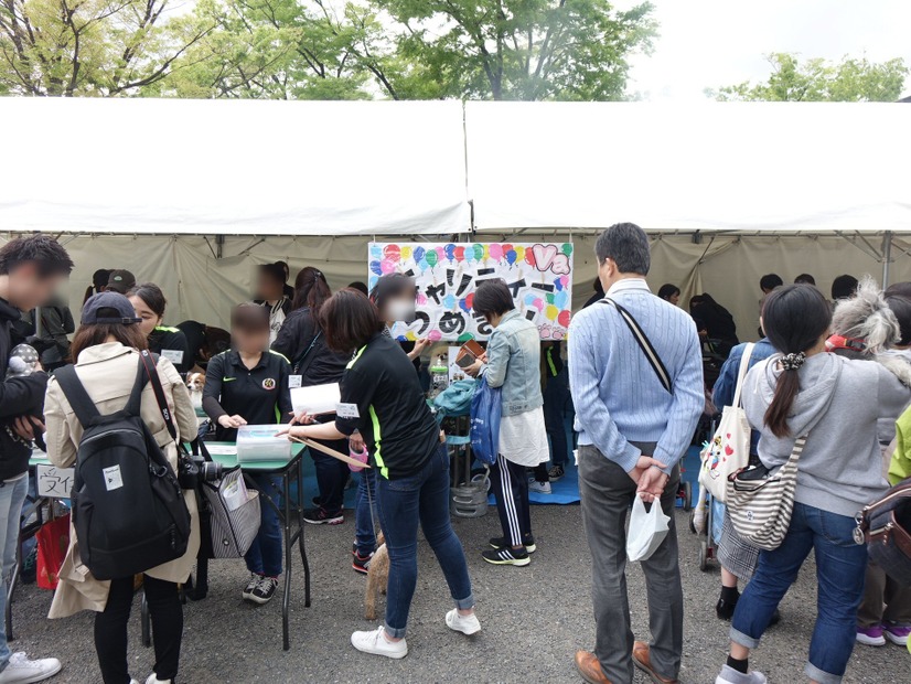 「代々木公園わんわんカーニバル2018」に行ってみた！イベント、掘り出し物もいっぱい