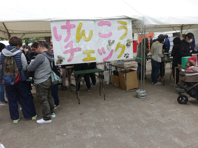 「代々木公園わんわんカーニバル2018」に行ってみた！イベント、掘り出し物もいっぱい