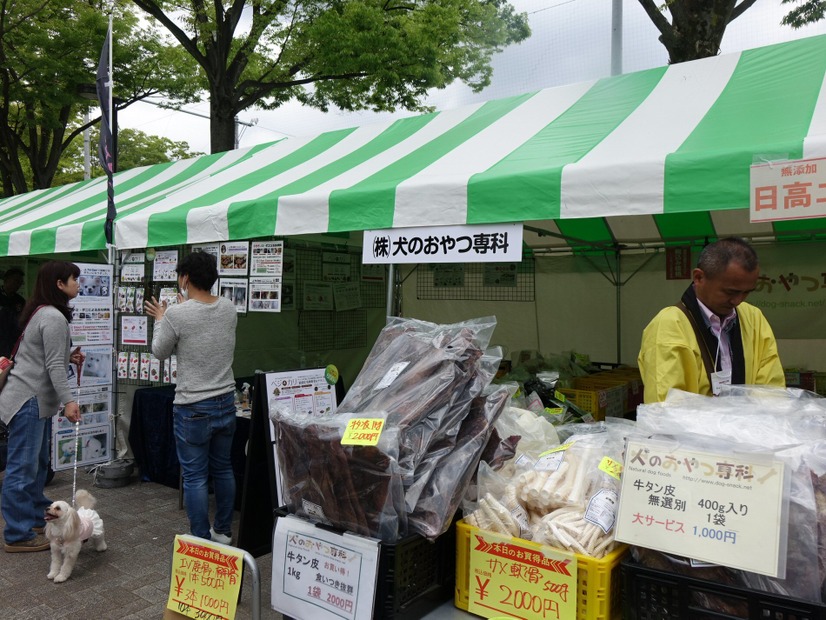 「代々木公園わんわんカーニバル2018」に行ってみた！イベント、掘り出し物もいっぱい