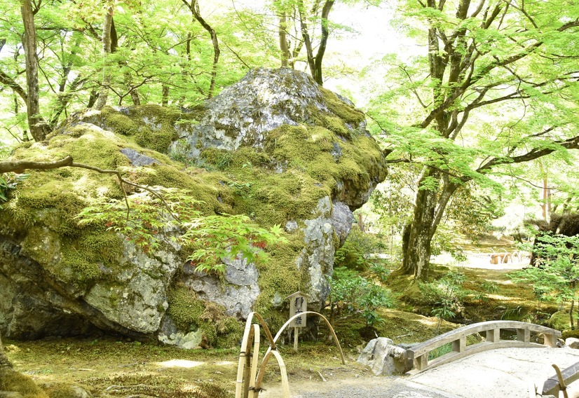 巨石が配置された獅子吼の庭の中でも有名な獅子岩