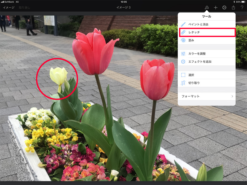 Pixelmatorアプリのレタッチ機能。奥の白いチューリップをApple Pencilや指でなぞると
