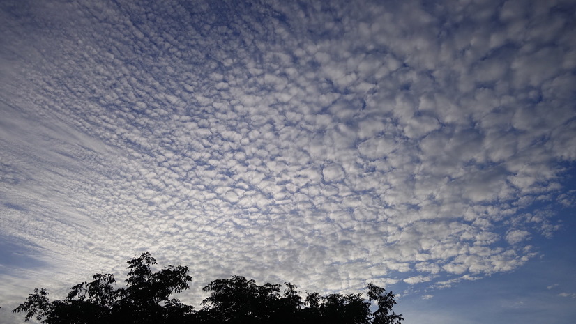 夕方の空。流れる雲の様子が美しくて思わずシャッターを押した