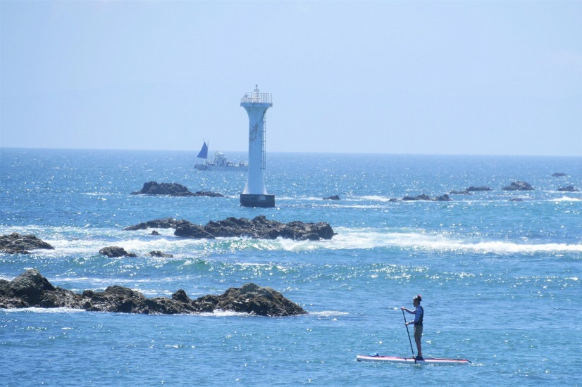 【ワンコとお出かけ Vol.18】レンタルキャンピングカーで行く湘南、三浦の旅（ドライブ後編）