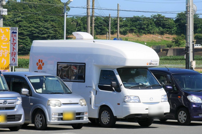 【ワンコとお出かけ Vol.18】レンタルキャンピングカーで行く湘南、三浦の旅（ドライブ後編）