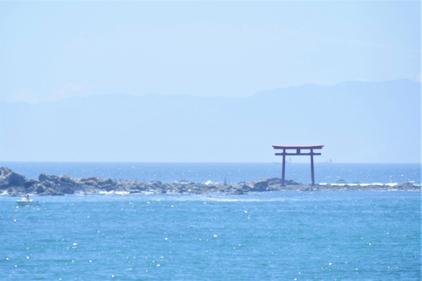 【ワンコとお出かけ Vol.17】レンタルキャンピングカーで行く湘南、三浦の旅（ドライブ前編）