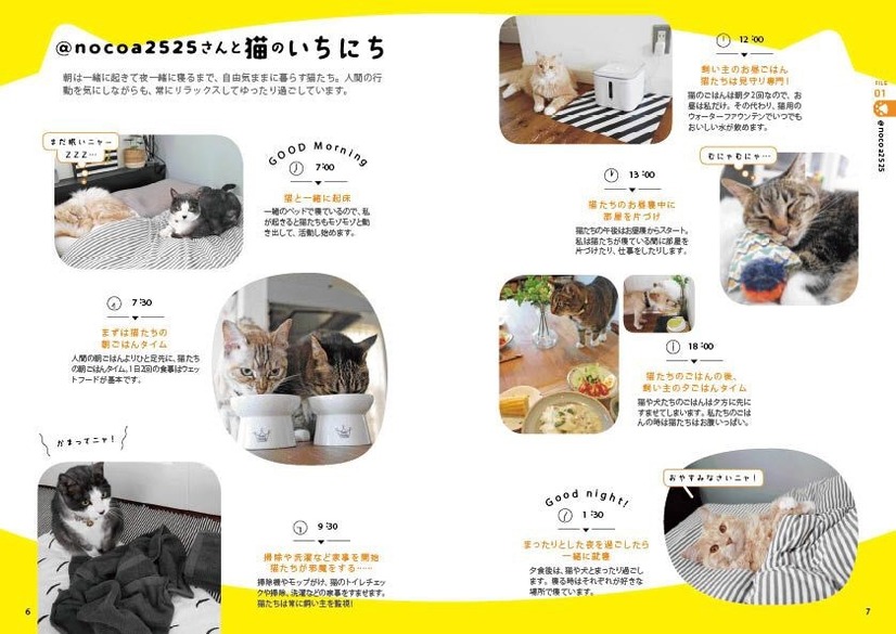 猫と心地よく暮らすためのアイデアが多数収録！『わたしたちの「猫暮らし」』発売