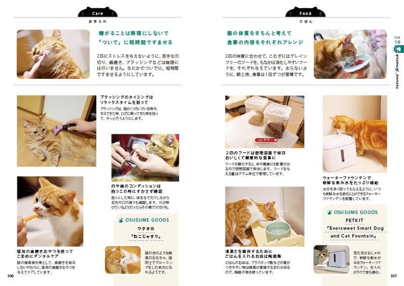 猫と心地よく暮らすためのアイデアが多数収録！『わたしたちの「猫暮らし」』発売