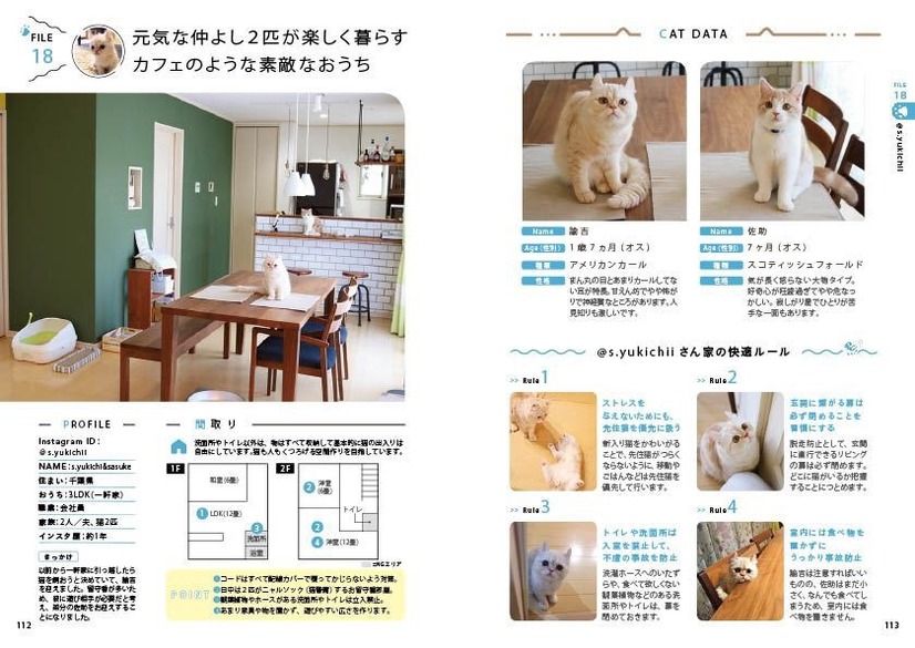 猫と心地よく暮らすためのアイデアが多数収録！『わたしたちの「猫暮らし」』発売