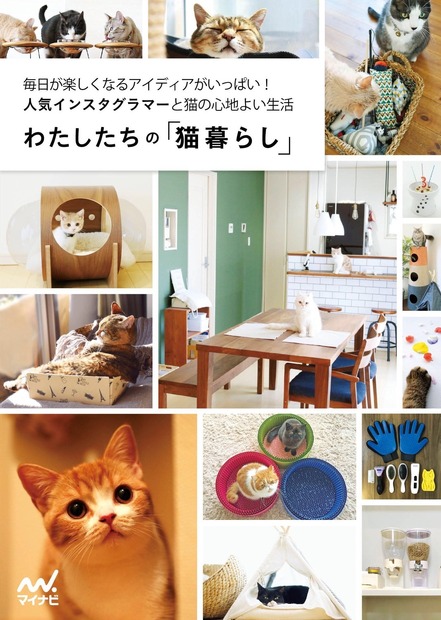 猫と心地よく暮らすためのアイデアが多数収録！『わたしたちの「猫暮らし」』発売