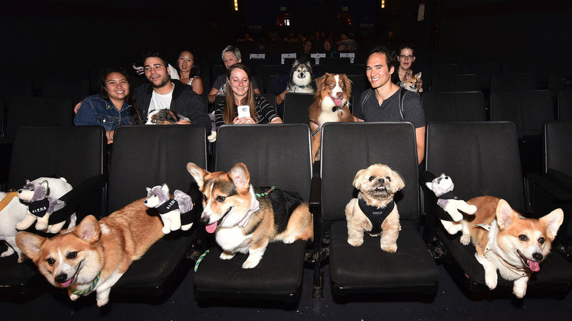 （C）Getty Images