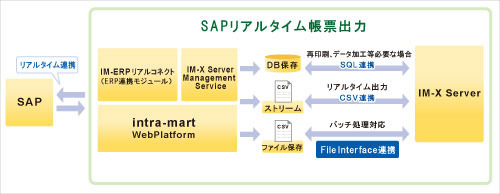 SAPリアルタイム帳票出力ソリューション概要