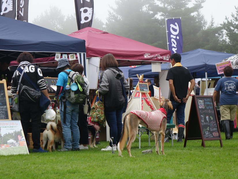 愛犬家が八ヶ岳に集合！「アウトドアドッグフェスタ in 八ケ岳 」が開幕