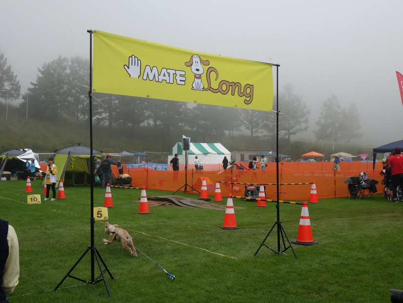 愛犬家が八ヶ岳に集合！「アウトドアドッグフェスタ in 八ケ岳 」が開幕