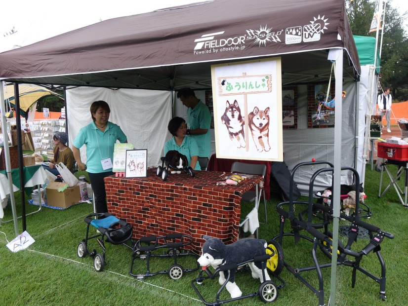 愛犬家が八ヶ岳に集合！「アウトドアドッグフェスタ in 八ケ岳 」が開幕