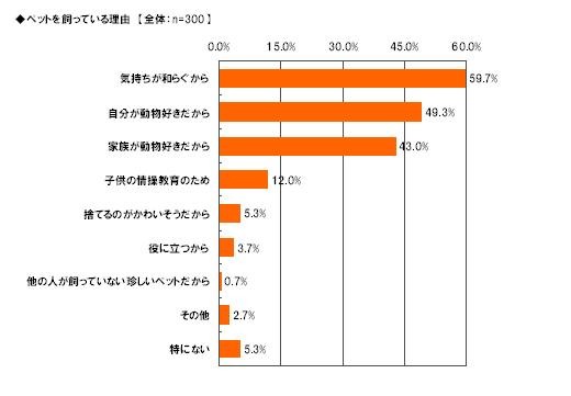 調査結果