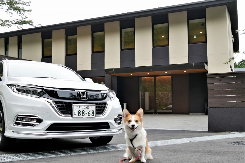 【ワンコとお出かけ Vol.24】愛犬と泊まれる！「レジーナリゾート箱根仙石原」宿泊レポート（前編）