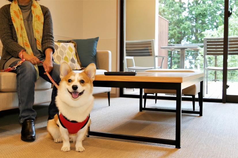 【ワンコとお出かけ Vol.24】愛犬と泊まれる！「レジーナリゾート箱根仙石原」宿泊レポート（前編）