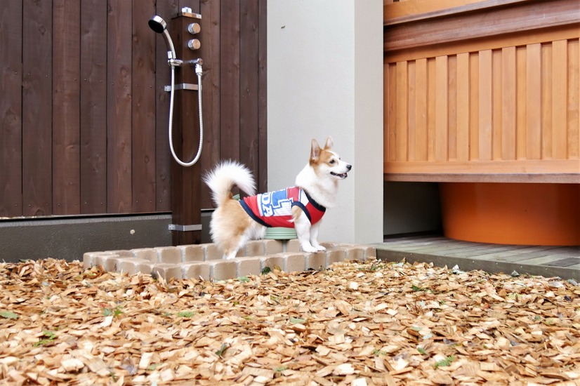 【ワンコとお出かけ Vol.25】愛犬と泊まれる！「レジーナリゾート箱根仙石原」宿泊レポート（後編）