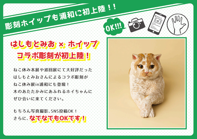 「ねこ休み展」が浦和初上陸！願いが書き込める巨大絵馬も登場