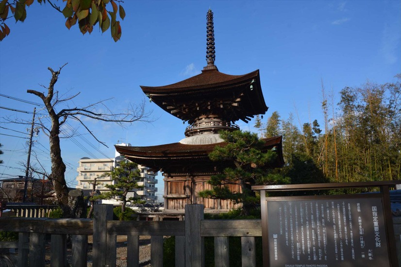 大樹寺【錦怜那】