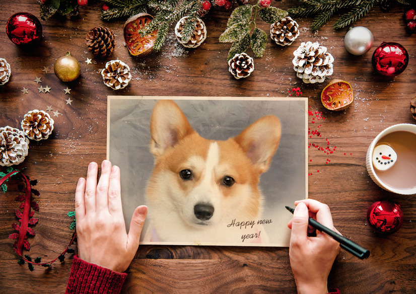 【ワンコとお出かけ Vol.28】ワンコをモデルに、自宅でクリスマス用画像を作ってみた