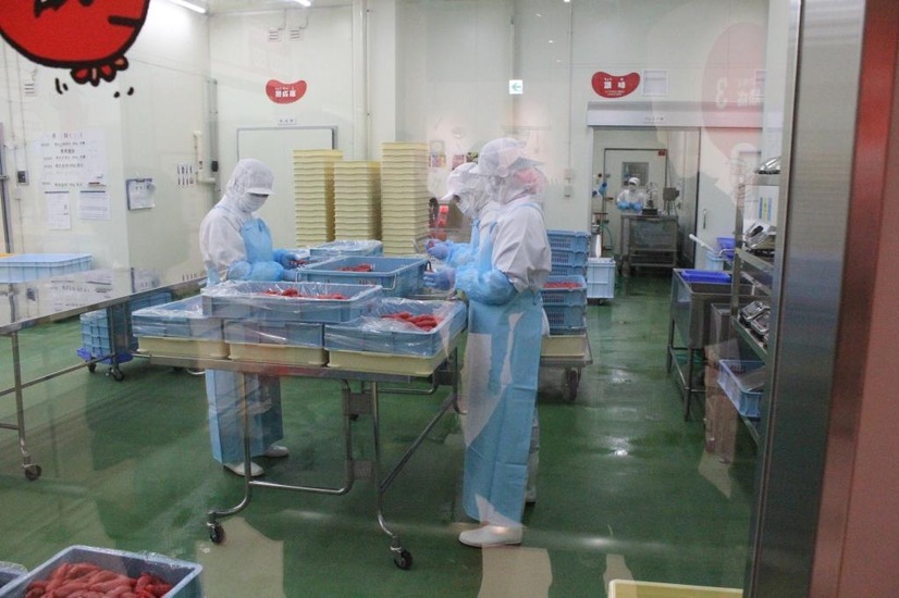 静岡県初の「めんたいパーク」がオープン！週末に町内人口の半分、2万人が来場