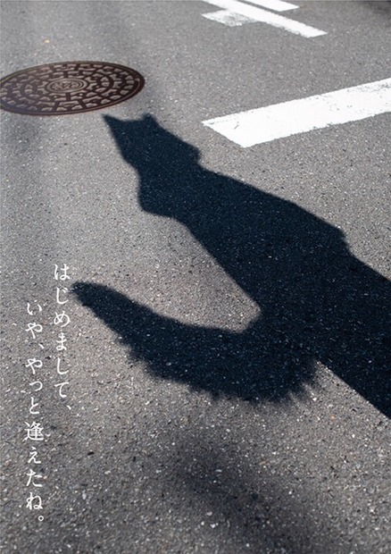 どんぎつね・吉岡里帆の1st写真集「ぼくのそばにきみがいる」が公開！
