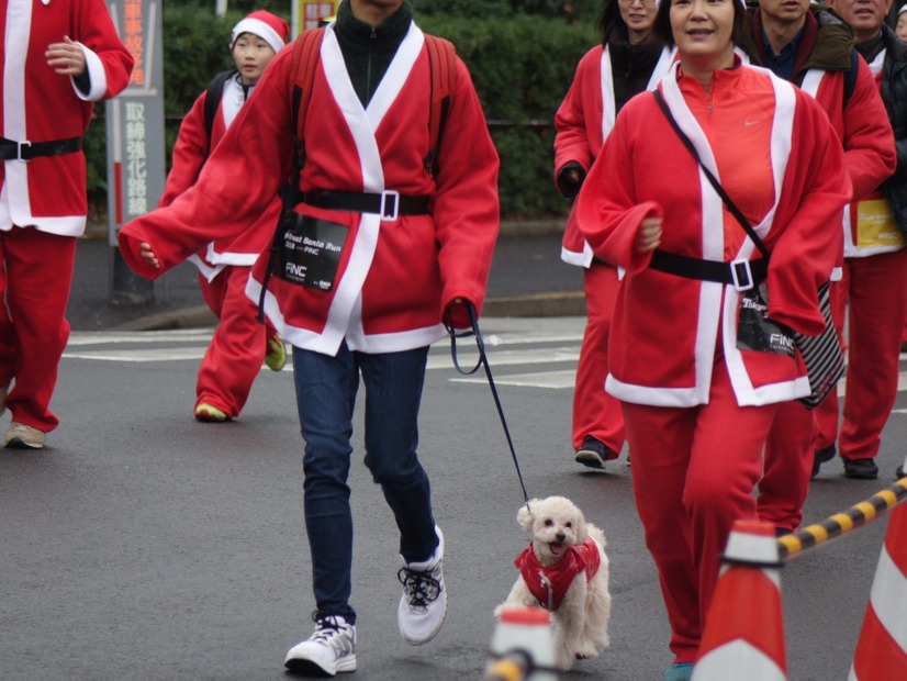 「東京グレートサンタラン 2018」