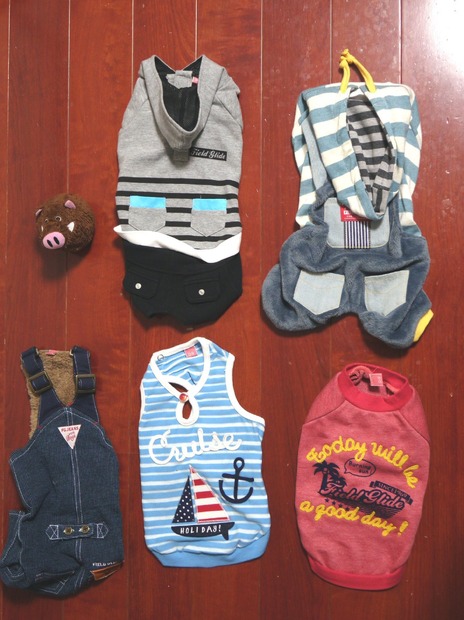 結構お得!「PET PARADISE」の福袋でペット用洋服を購入