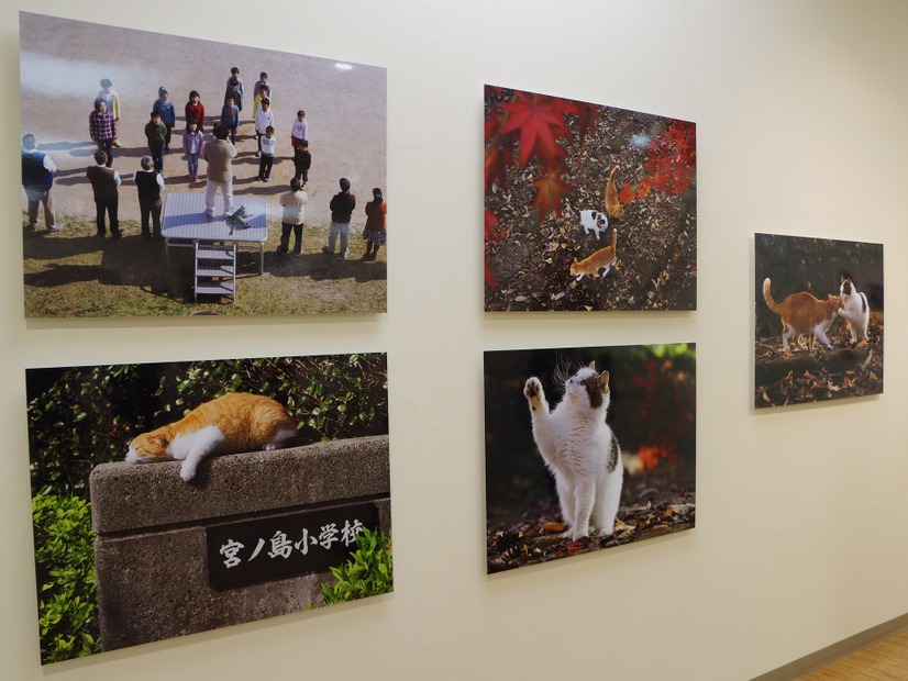 写真展の様子【撮影：松本】