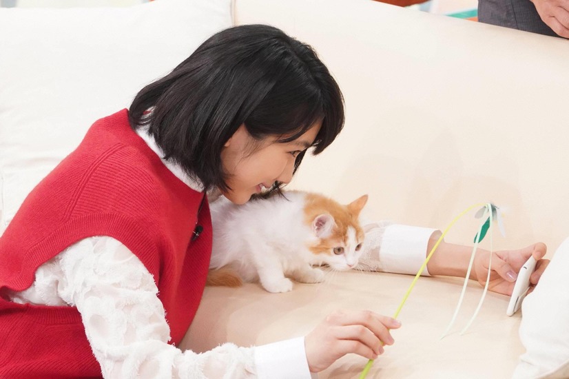 （C)フジテレビ