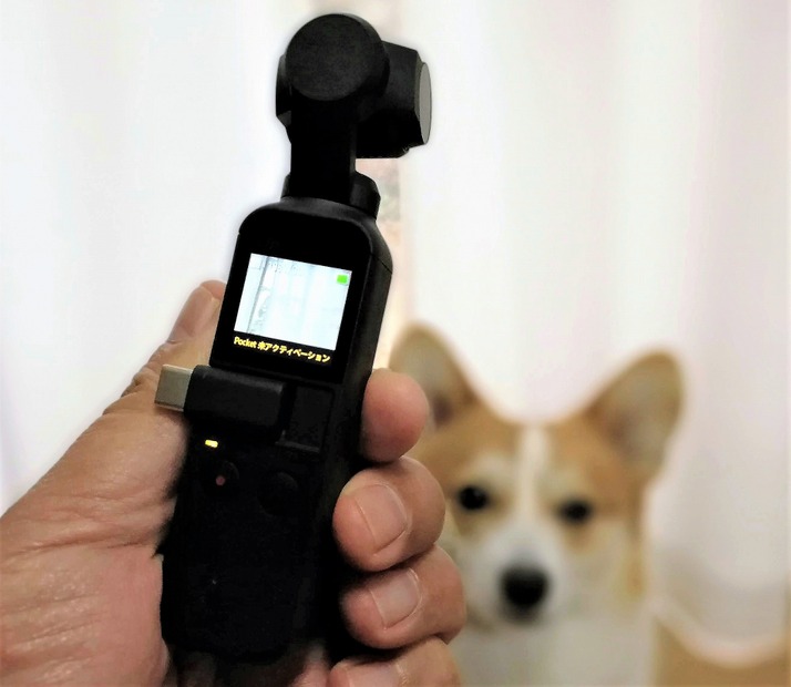 【ワンコとお出かけ　Vol.31】スタビライザー付き小型カメラ「DJI Osmo Pocket」はワンコ撮影に向いている？