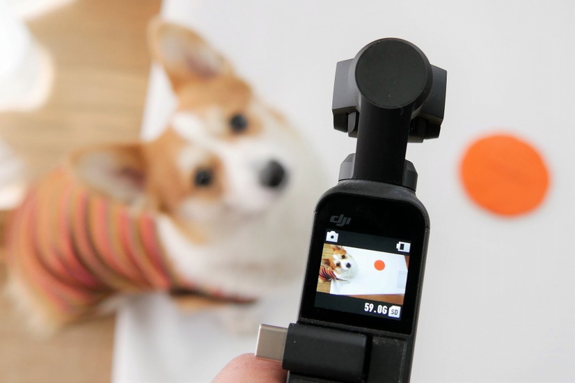 【ワンコとお出かけ　Vol.31】スタビライザー付き小型カメラ「DJI Osmo Pocket」はワンコ撮影に向いている？