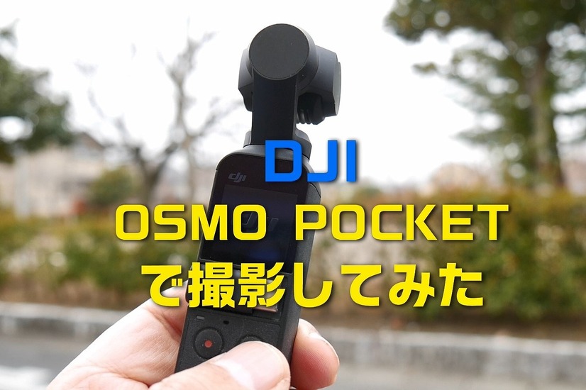 【ワンコとお出かけ　Vol.31】スタビライザー付き小型カメラ「DJI Osmo Pocket」はワンコ撮影に向いている？