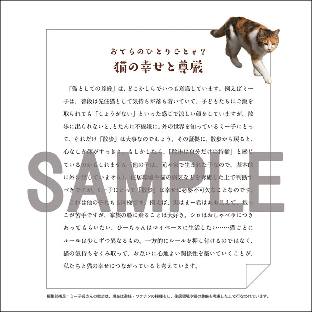 『てらねこ 毎日が幸せになる お寺と猫の連れ添い方』写真／石原さくら・長楽寺2019年3月20日（水）発売、定価（本体1,200円＋税）縦160mm 横160mm／96P／フルカラー発行：株式会社ＫＡＤＯＫＡＷＡ