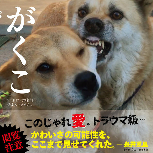 雑種犬二匹の「じゃれ愛」を集めた写真集『がくこ』が発売