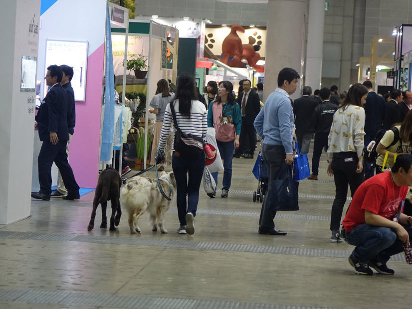 「インターペット2019」が今週末開催！注目イベントは？