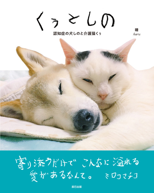 認知症の柴犬しの、介護猫くぅの仲良しな日常がフォトブックに