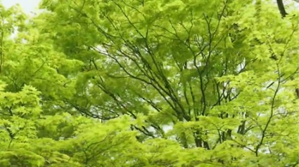 今年の舞台は