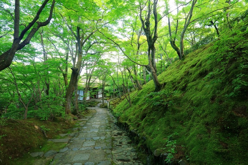 今年の舞台は