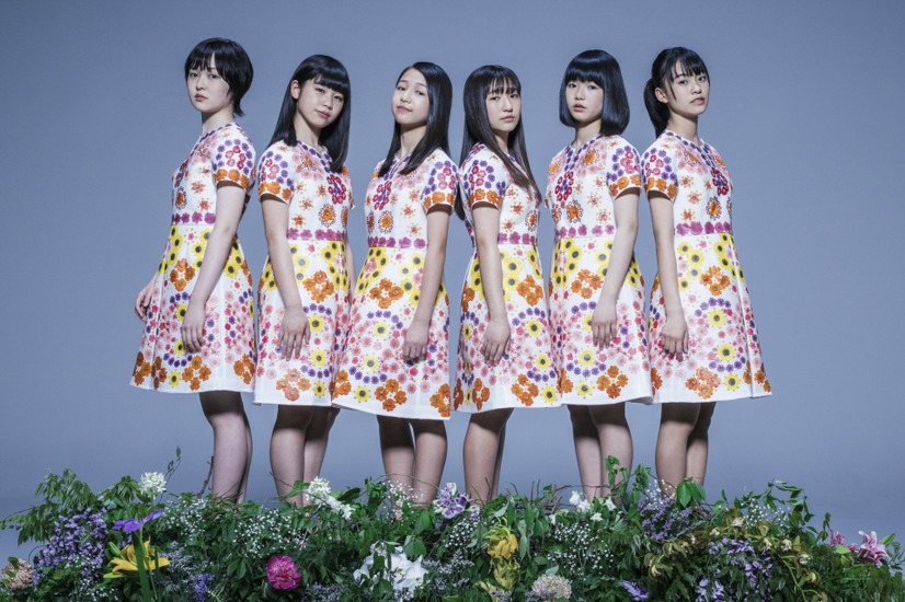 TIF2019にSTU48、夢アドらの出演が決定