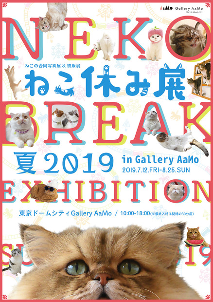 人気猫の写真展＆物販展「ねこ休み展 夏 2019」が7月12日スタート