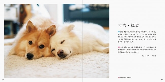 新しい家族のもとで暮らす元保護犬、保護猫たちが写真集に